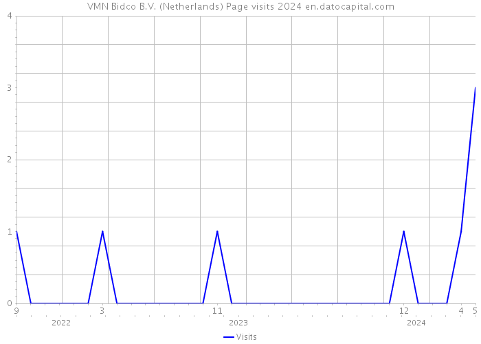 VMN Bidco B.V. (Netherlands) Page visits 2024 