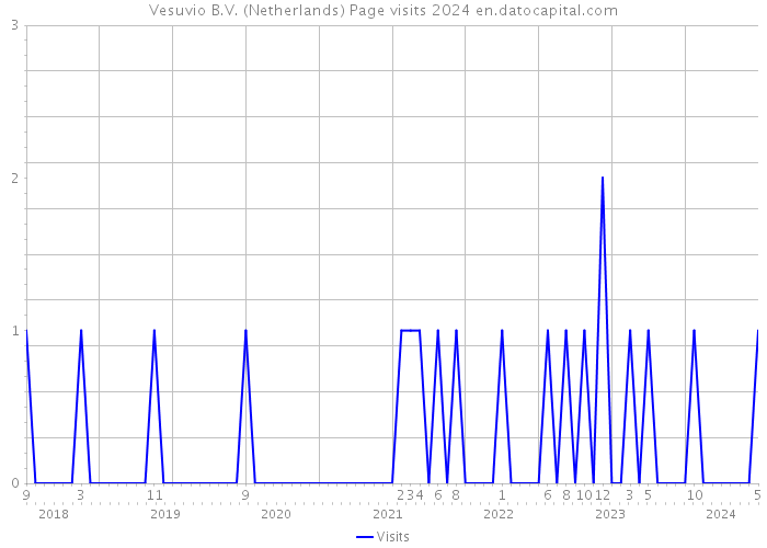 Vesuvio B.V. (Netherlands) Page visits 2024 