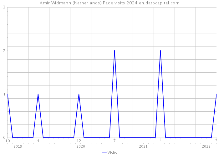 Amir Widmann (Netherlands) Page visits 2024 
