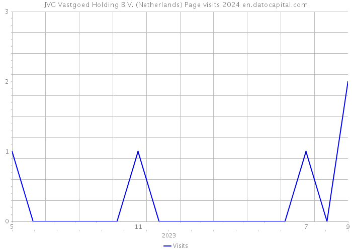 JVG Vastgoed Holding B.V. (Netherlands) Page visits 2024 