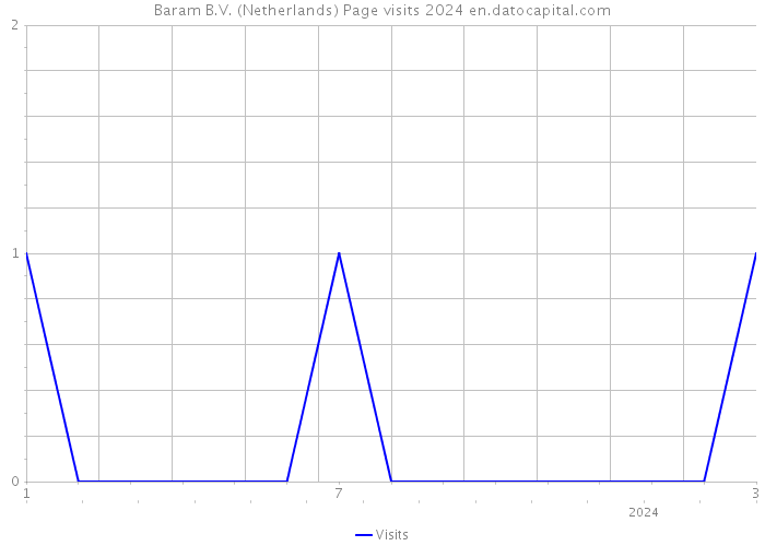 Baram B.V. (Netherlands) Page visits 2024 