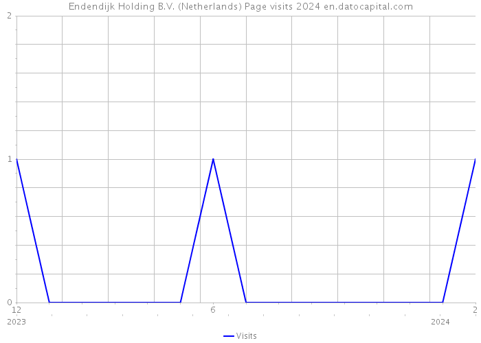 Endendijk Holding B.V. (Netherlands) Page visits 2024 