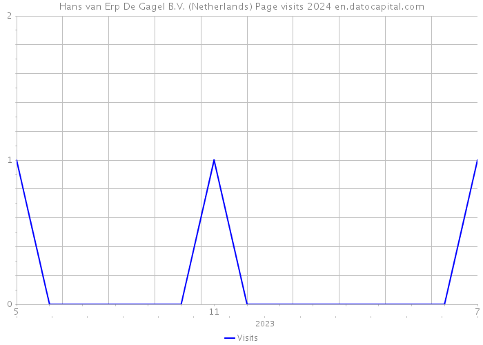 Hans van Erp De Gagel B.V. (Netherlands) Page visits 2024 
