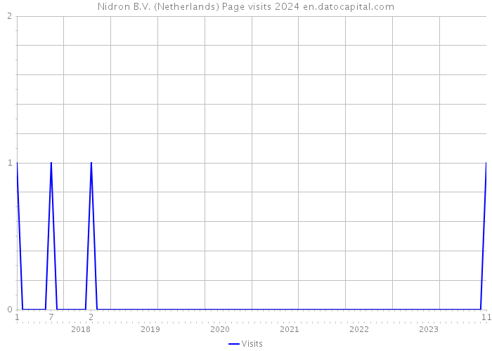 Nidron B.V. (Netherlands) Page visits 2024 