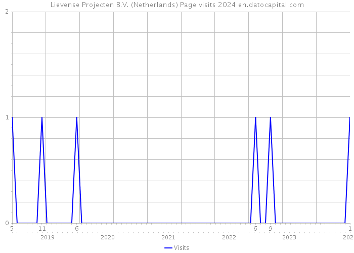 Lievense Projecten B.V. (Netherlands) Page visits 2024 