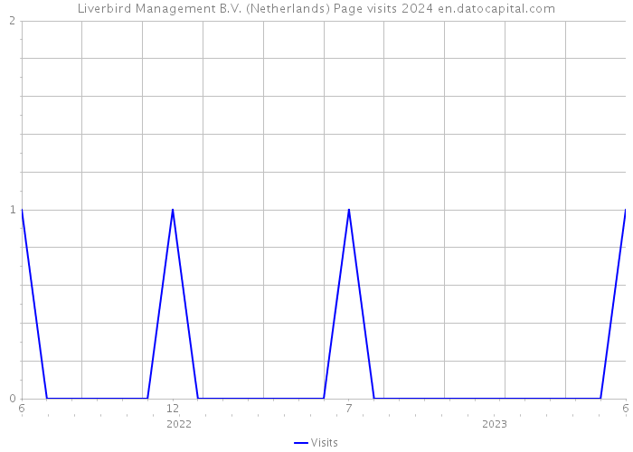 Liverbird Management B.V. (Netherlands) Page visits 2024 