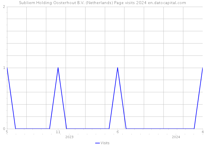 Subliem Holding Oosterhout B.V. (Netherlands) Page visits 2024 