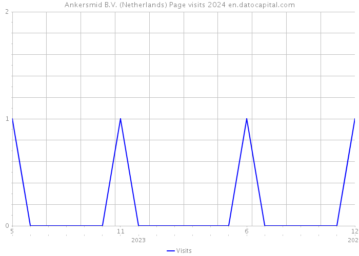 Ankersmid B.V. (Netherlands) Page visits 2024 