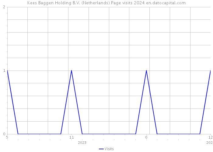 Kees Baggen Holding B.V. (Netherlands) Page visits 2024 
