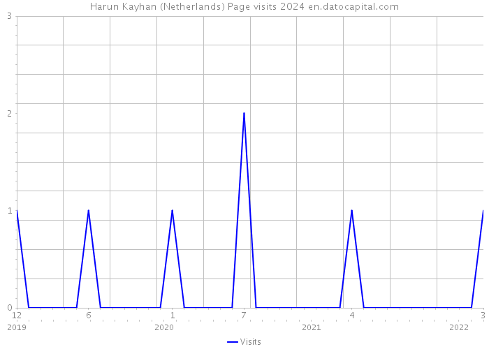 Harun Kayhan (Netherlands) Page visits 2024 
