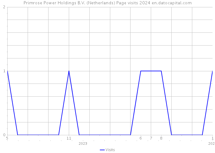 Primrose Power Holdings B.V. (Netherlands) Page visits 2024 