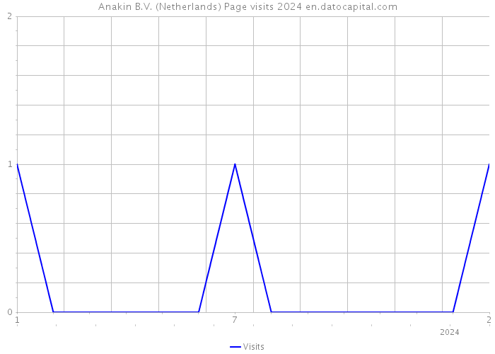 Anakin B.V. (Netherlands) Page visits 2024 