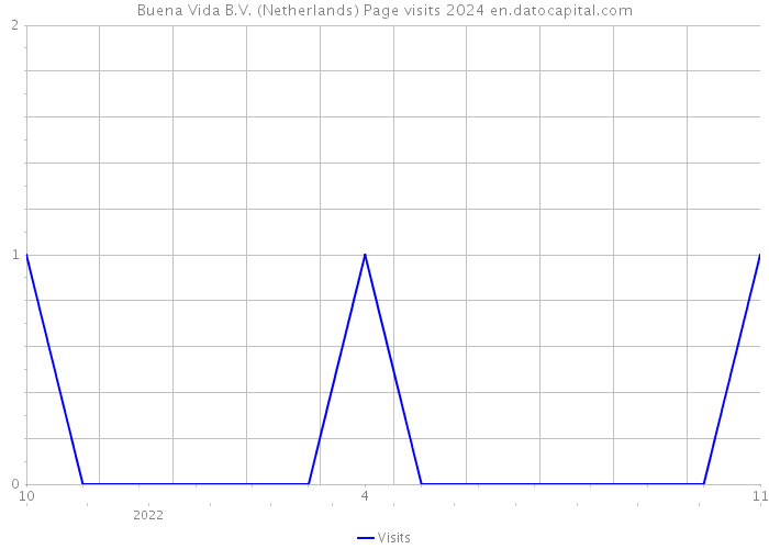 Buena Vida B.V. (Netherlands) Page visits 2024 