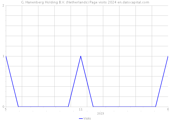 G. Hanenberg Holding B.V. (Netherlands) Page visits 2024 