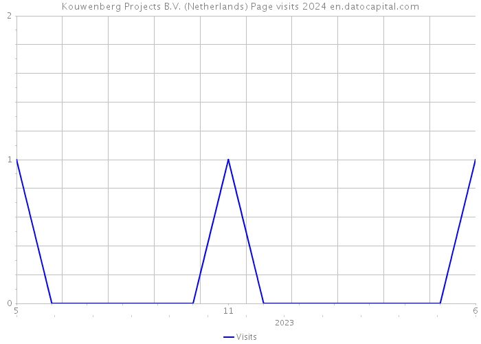 Kouwenberg Projects B.V. (Netherlands) Page visits 2024 