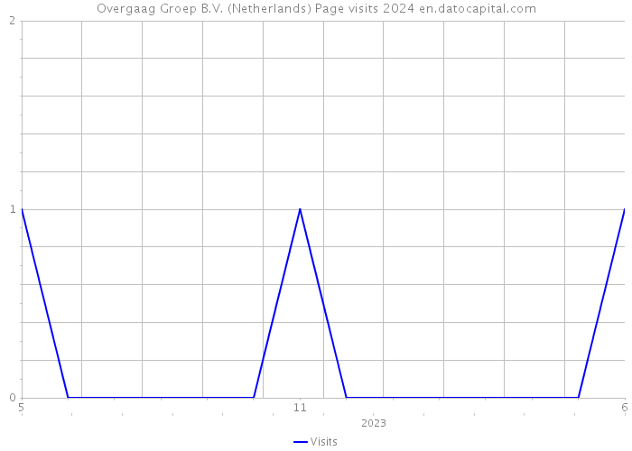 Overgaag Groep B.V. (Netherlands) Page visits 2024 