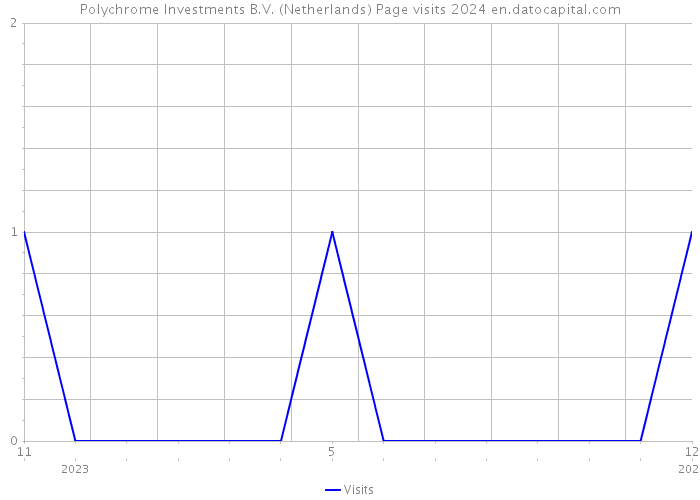 Polychrome Investments B.V. (Netherlands) Page visits 2024 