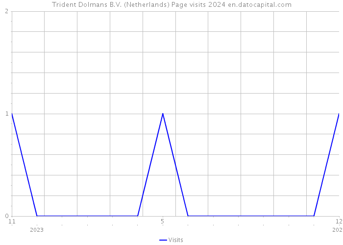 Trident Dolmans B.V. (Netherlands) Page visits 2024 