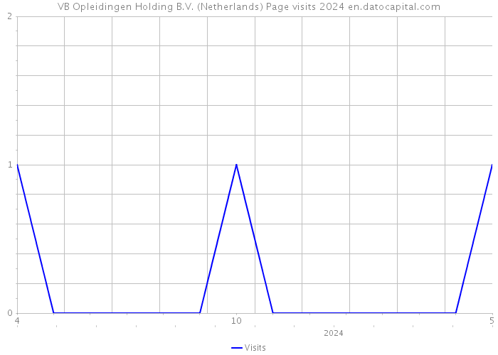 VB Opleidingen Holding B.V. (Netherlands) Page visits 2024 