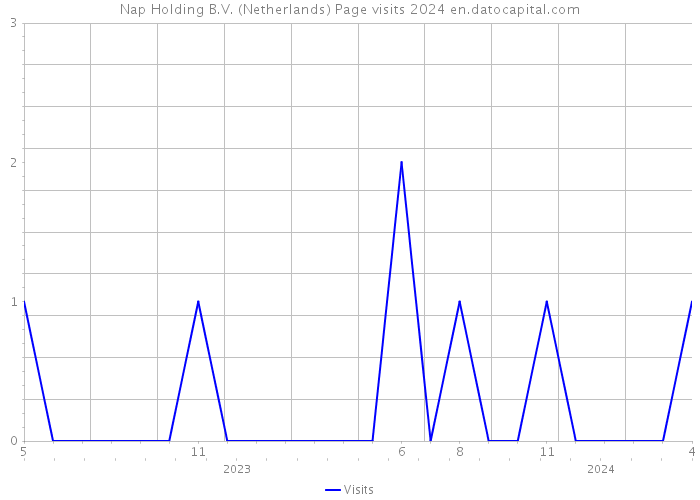 Nap Holding B.V. (Netherlands) Page visits 2024 