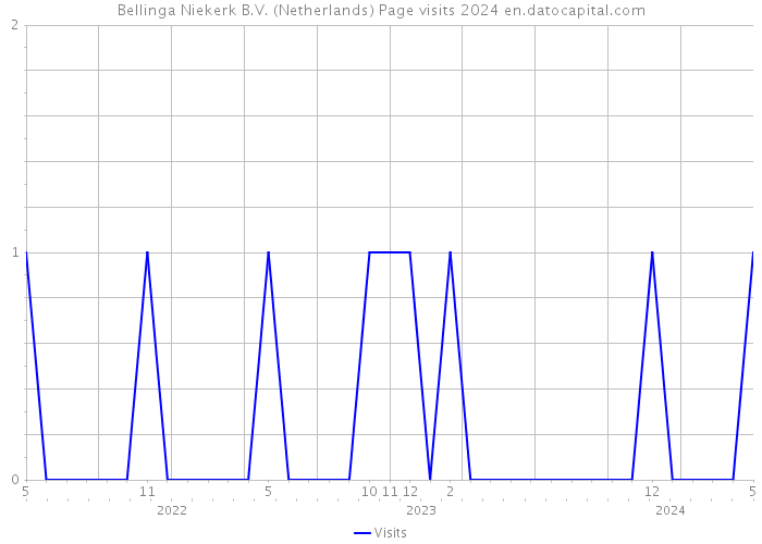 Bellinga Niekerk B.V. (Netherlands) Page visits 2024 