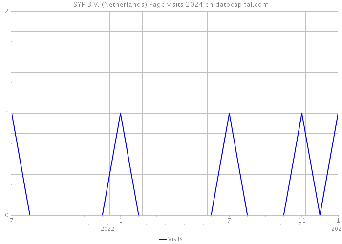 SYP B.V. (Netherlands) Page visits 2024 