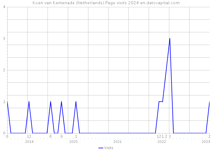 Koen van Kemenade (Netherlands) Page visits 2024 