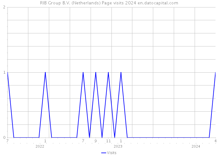 RIB Group B.V. (Netherlands) Page visits 2024 