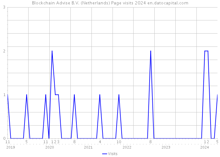 Blockchain Advise B.V. (Netherlands) Page visits 2024 