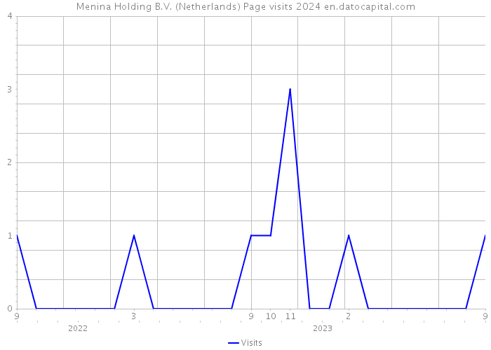 Menina Holding B.V. (Netherlands) Page visits 2024 