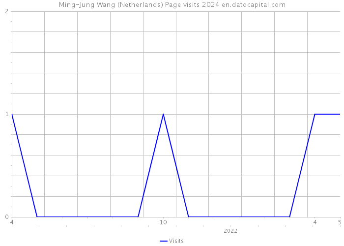 Ming-Jung Wang (Netherlands) Page visits 2024 