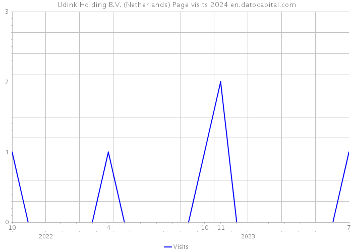 Udink Holding B.V. (Netherlands) Page visits 2024 