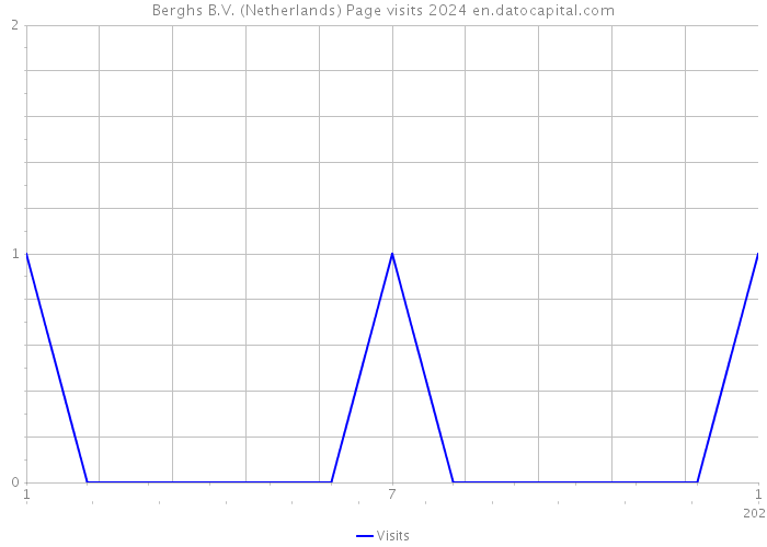 Berghs B.V. (Netherlands) Page visits 2024 