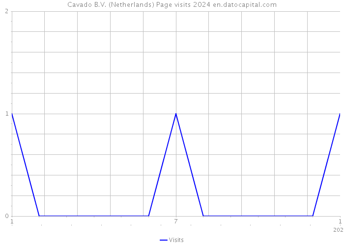 Cavado B.V. (Netherlands) Page visits 2024 