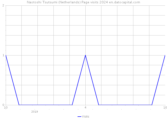 Naotoshi Tsutsumi (Netherlands) Page visits 2024 