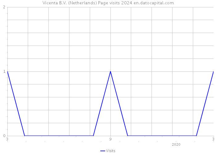 Vicenta B.V. (Netherlands) Page visits 2024 