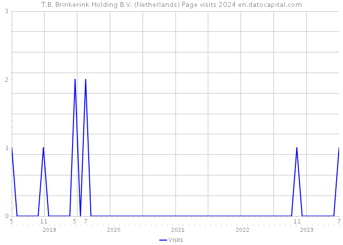 T.B. Brinkerink Holding B.V. (Netherlands) Page visits 2024 