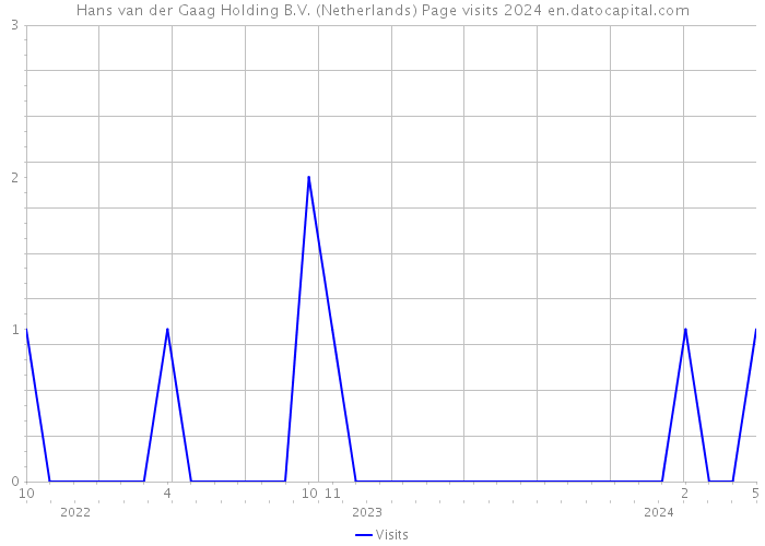 Hans van der Gaag Holding B.V. (Netherlands) Page visits 2024 