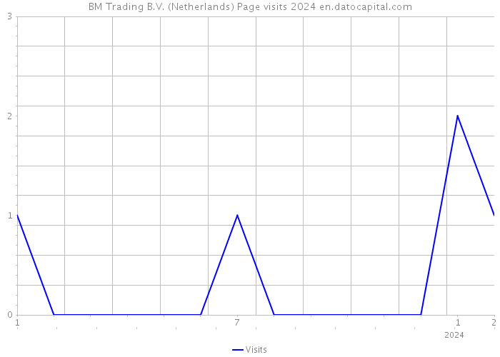 BM Trading B.V. (Netherlands) Page visits 2024 