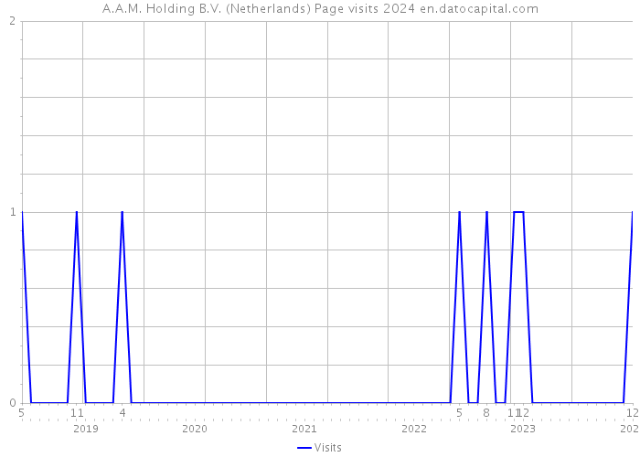 A.A.M. Holding B.V. (Netherlands) Page visits 2024 