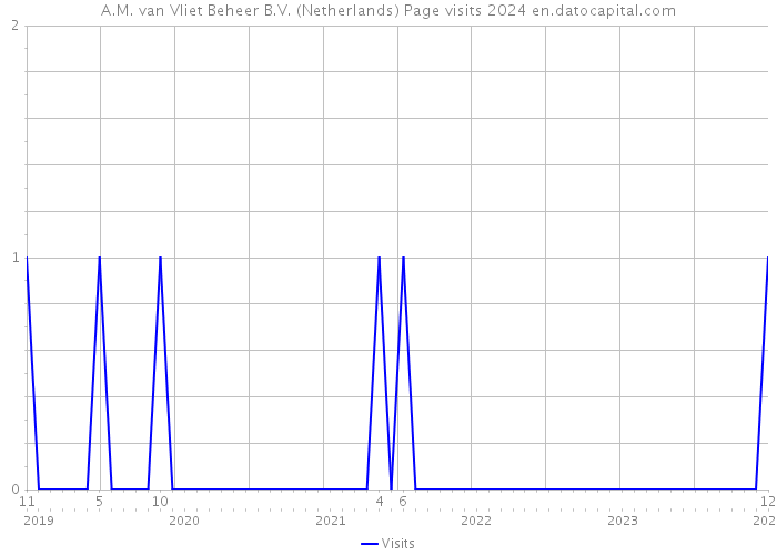A.M. van Vliet Beheer B.V. (Netherlands) Page visits 2024 