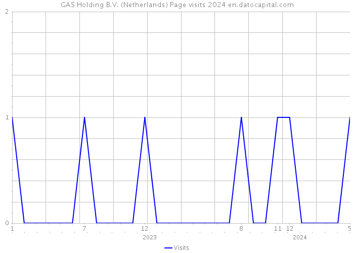 GAS Holding B.V. (Netherlands) Page visits 2024 