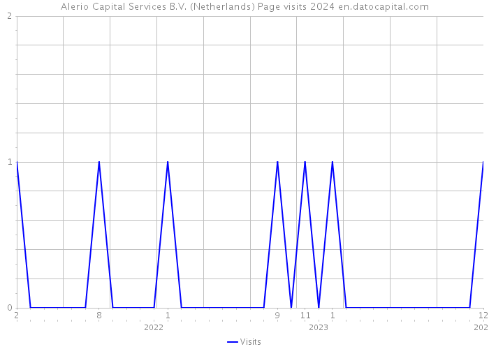 Alerio Capital Services B.V. (Netherlands) Page visits 2024 