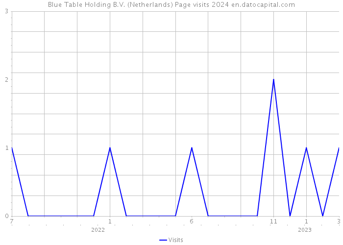 Blue Table Holding B.V. (Netherlands) Page visits 2024 