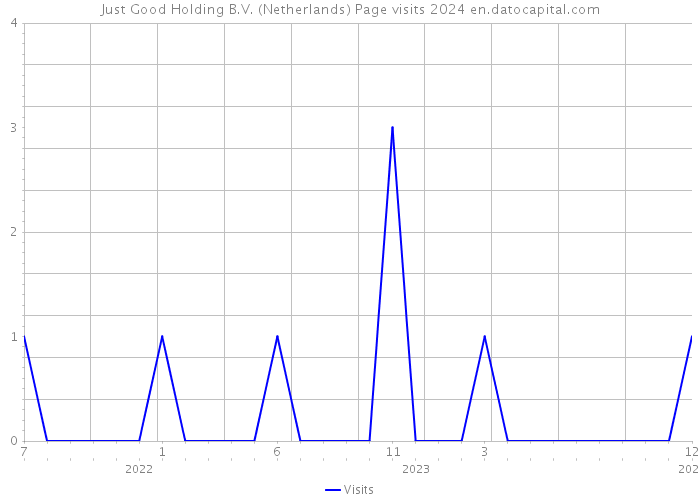 Just Good Holding B.V. (Netherlands) Page visits 2024 
