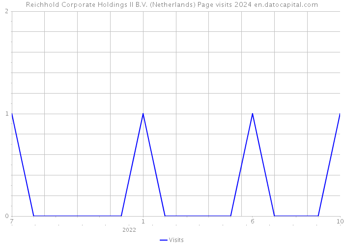 Reichhold Corporate Holdings II B.V. (Netherlands) Page visits 2024 