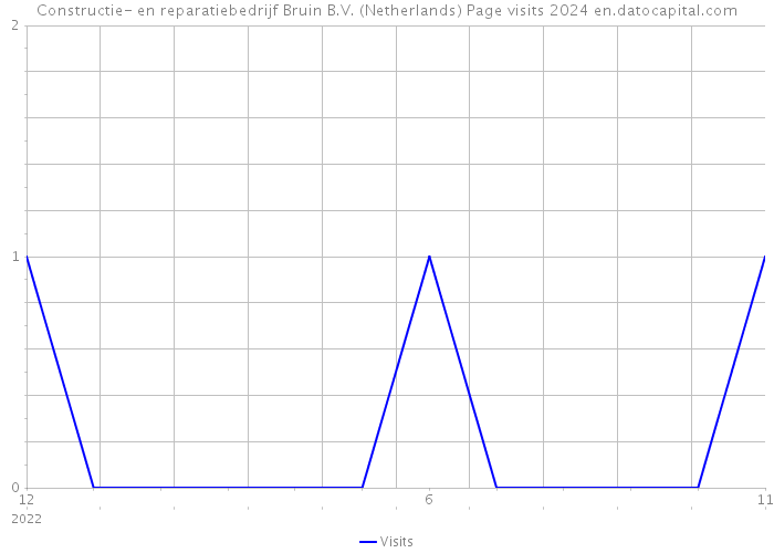 Constructie- en reparatiebedrijf Bruin B.V. (Netherlands) Page visits 2024 