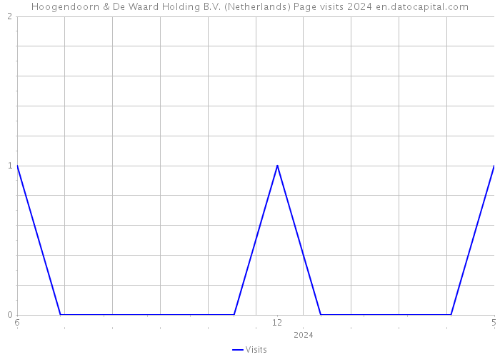 Hoogendoorn & De Waard Holding B.V. (Netherlands) Page visits 2024 