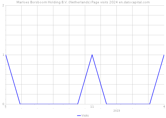Marloes Borsboom Holding B.V. (Netherlands) Page visits 2024 