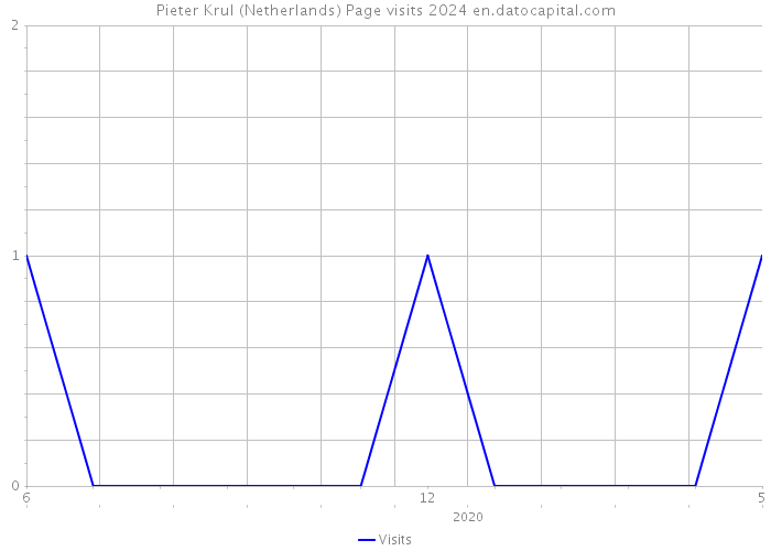 Pieter Krul (Netherlands) Page visits 2024 